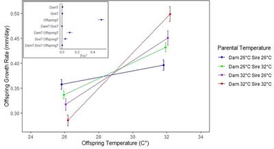 Separating Paternal and Maternal Contributions to Thermal Transgenerational Plasticity